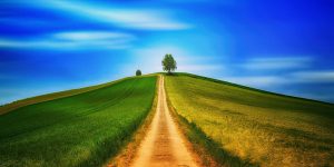 weboldal_kotelezo_elemei