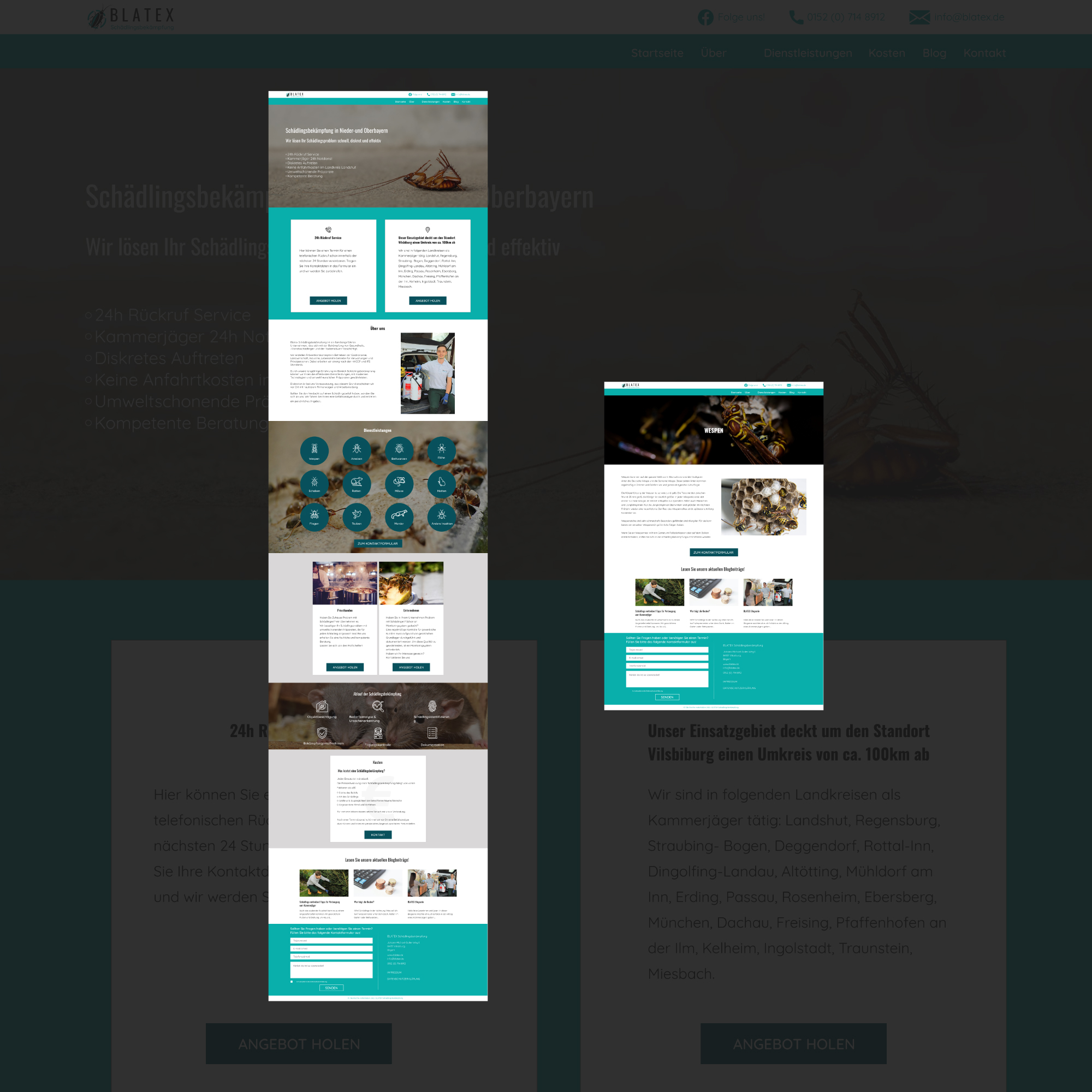 weboldal, weboldal készítés, logó, ssl, webdizájn, arculat, webáruház, webfejlesztés, honlapkészítés, arculattervezés, logótervezés, márkaépítés, seo, wordpress, egyedi honlap, márkaépítés, weboldal fejlesztés, keresőoptimalizálás, weboldal audit, hírlevél